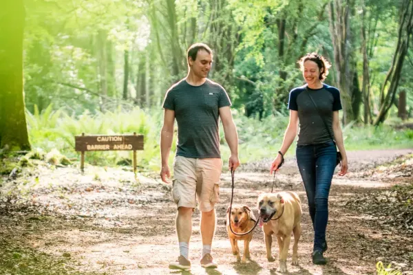 Man and woman walking dogs in Portumna Forest Park