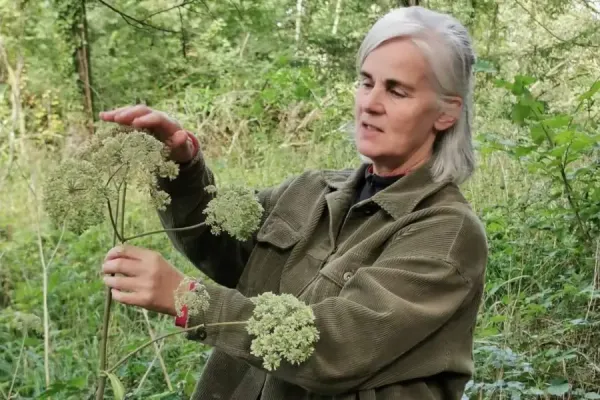 Wild Food Mary