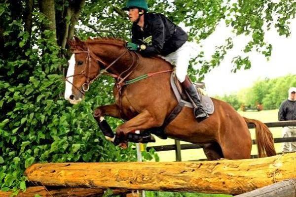 Cross Country jumping at flowerhill