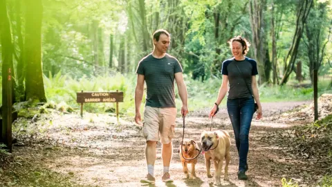 Man and woman walking dogs in Portumna Forest Park
