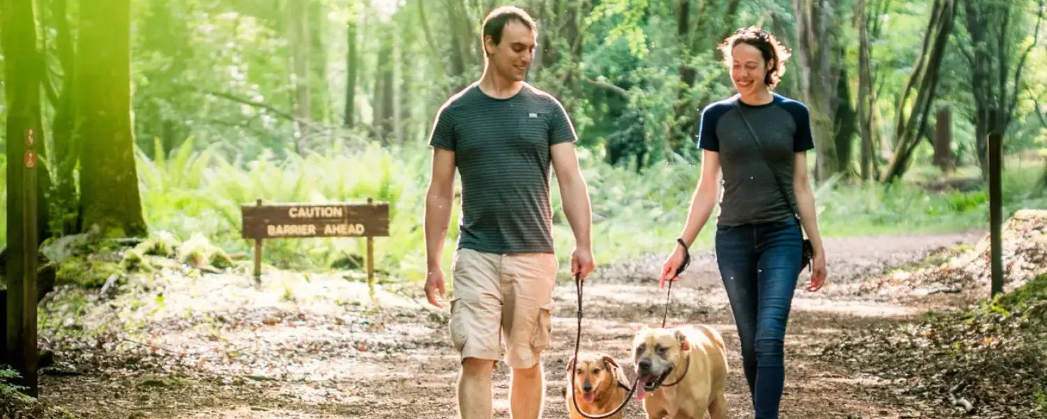 Man and woman walking dogs in Portumna Forest Park