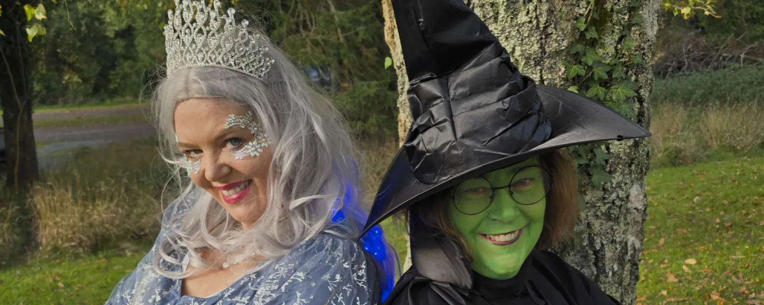 Fairies and Scaries Portumna Forest Park 2025