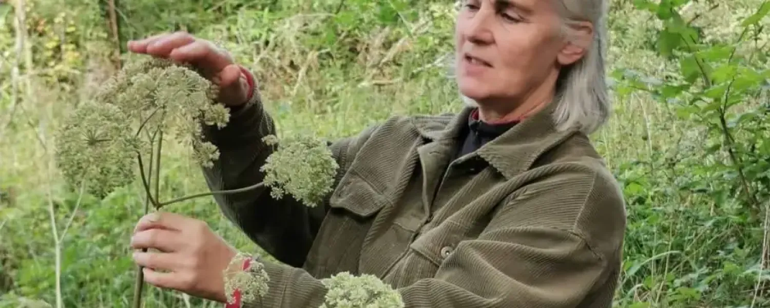 Wild Food Mary