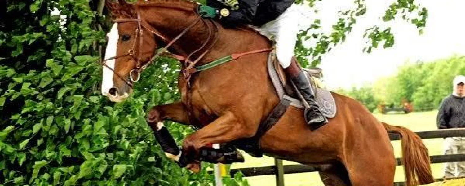 Cross Country jumping at flowerhill